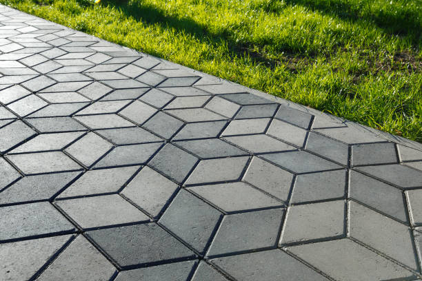 Best Professional Driveway Pavers  in Edgemoor, DE